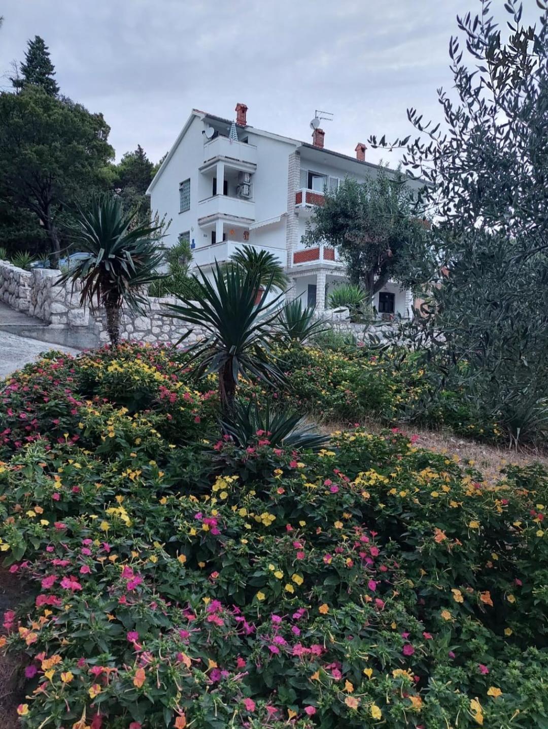 Milijana Apartments Rab راب المظهر الخارجي الصورة