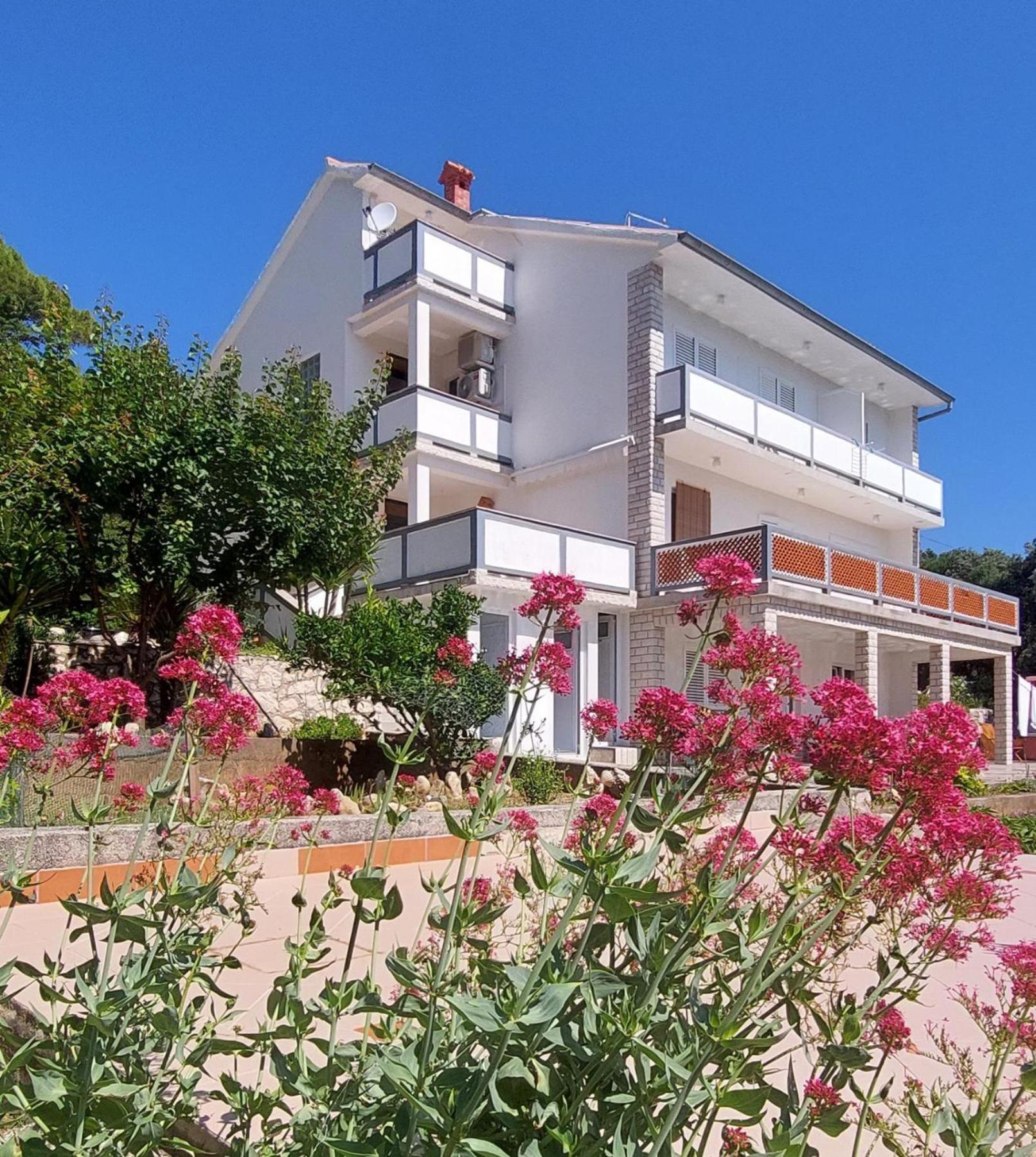Milijana Apartments Rab راب المظهر الخارجي الصورة